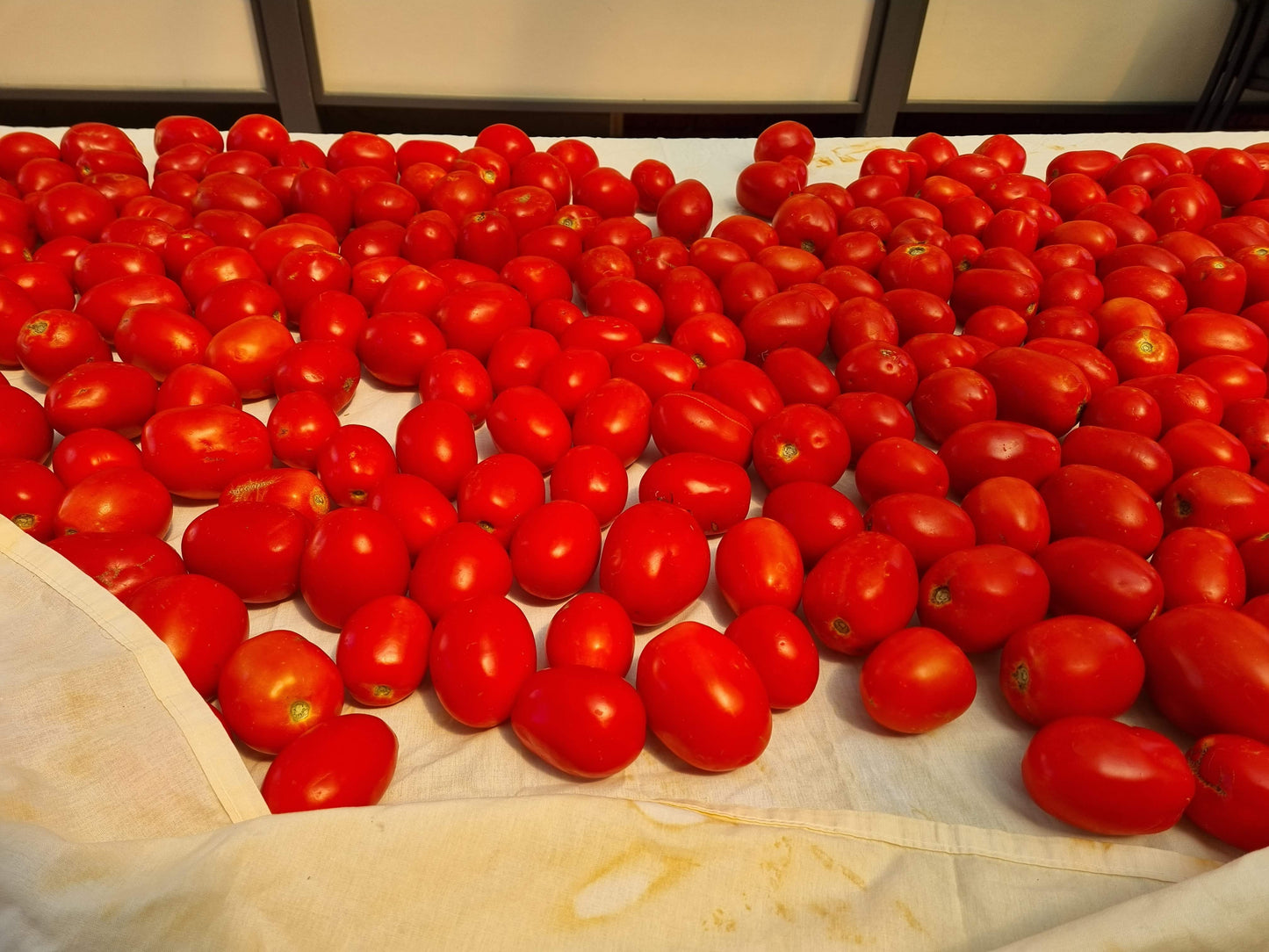 Roma Sauce Tomatoes - 10kg Box